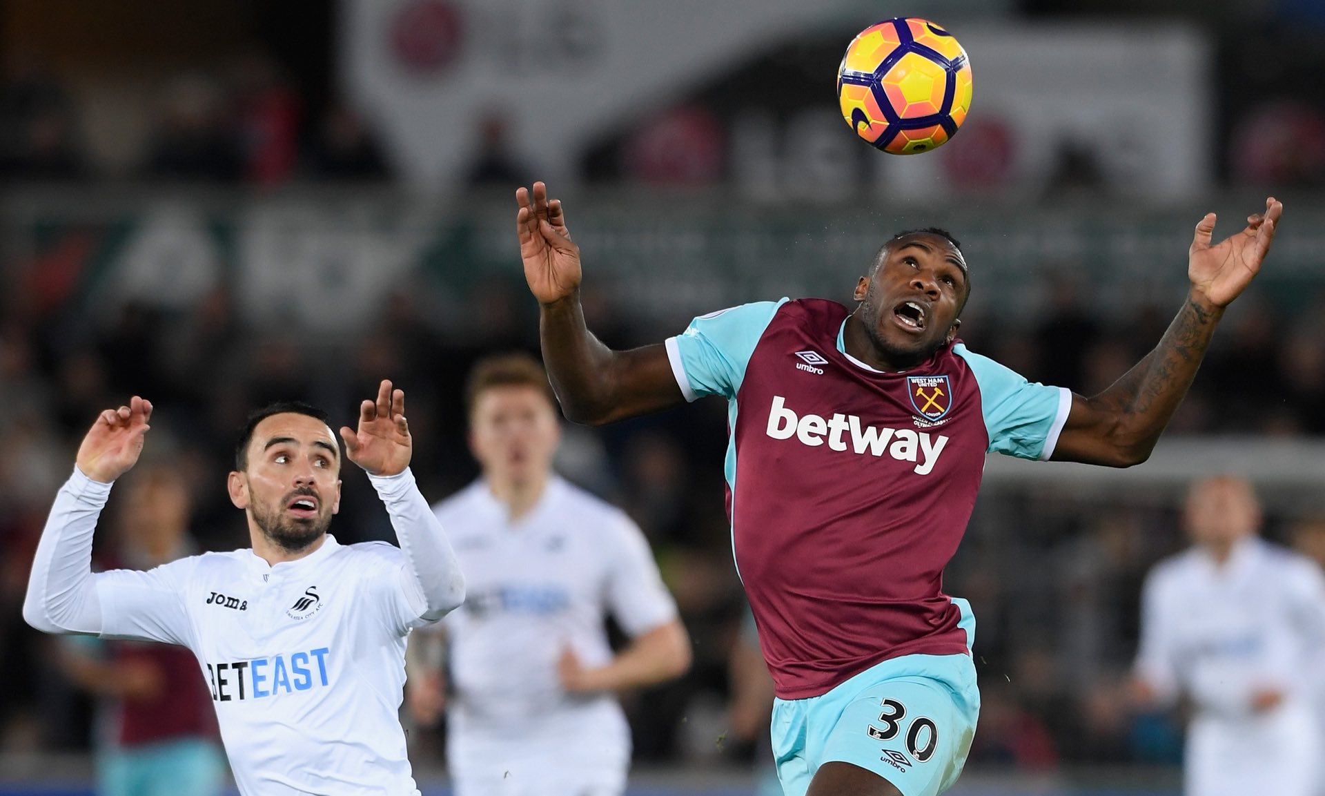 她个人的国 她个人的国